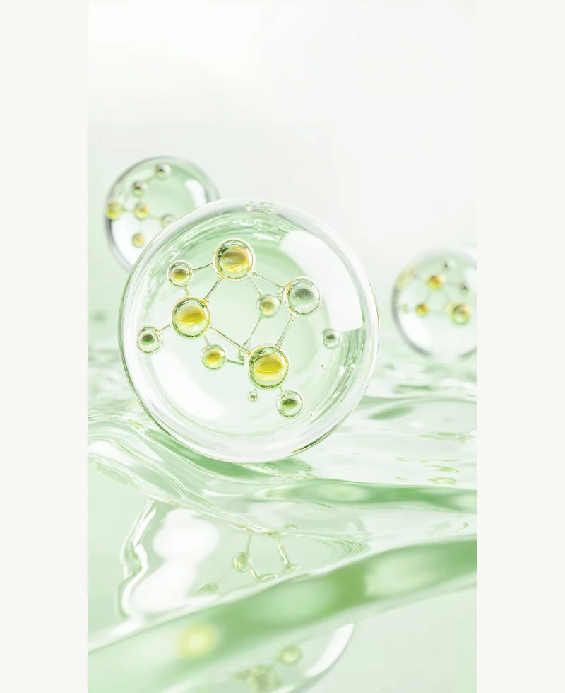 Plant protein applications